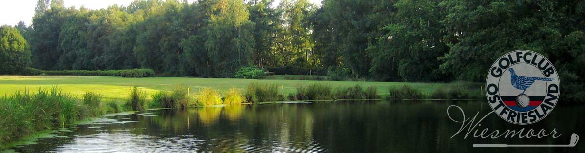 GC Ostfriesland e.V., Web-Marketing by Management Solutions, A. heim,